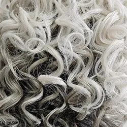 Black Tie Chic Wig by Raquel Welch | Synthetic Lace Front