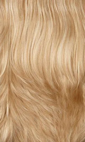 Chic Wig by Henry Margu | Synthetic (Mono Top)