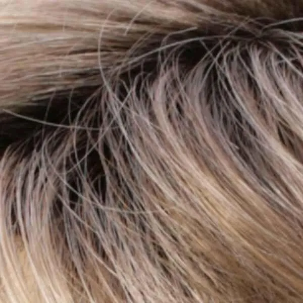 Deena Wig by Estetica Designs | Synthetic (Lace Front Basic Cap)