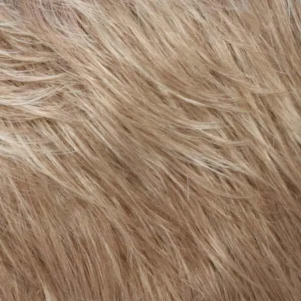 Deena Wig by Estetica Designs | Synthetic (Lace Front Basic Cap)