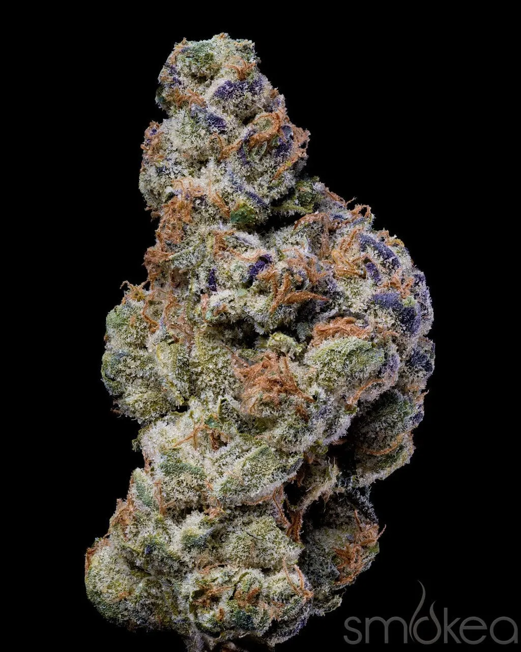 Lemonnade Cannabis Seeds - White Coconut Pie